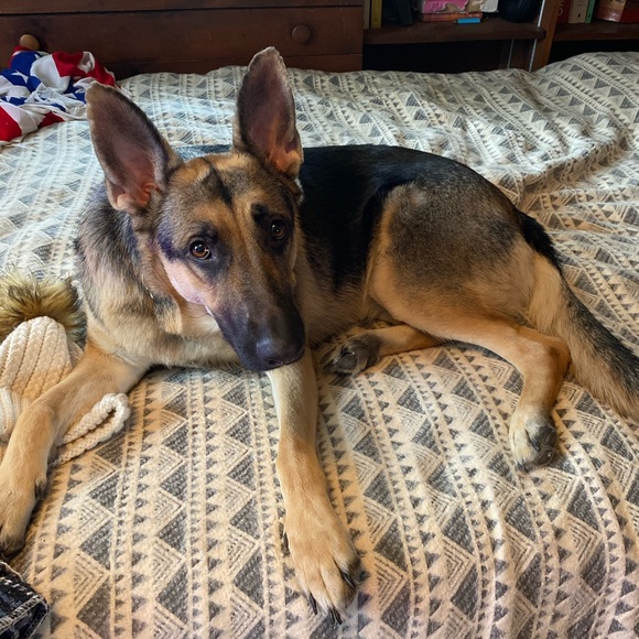 Meet your Posher, Monika - Picture 8 of 9